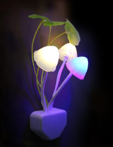 [New] Showa Night Light Sensor Night Light Light Light Light Light Sannaya Light SMALL NIGHT LIGHT Footlight LED See Light Light Control Mushroom Type Economic LED