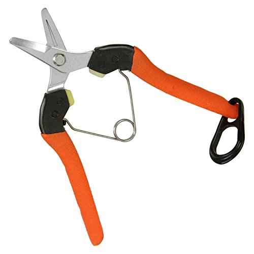 [New] Cactus shocking sucking swimming rice scissors [ideal for mandarin orange, tomato, pear] Blade length 23mm blade tendonitis measures NO.G-2