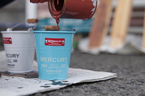 [New] Mercury Turikibetsu Regular Red MEBUBRD [Authorized Agency Store]