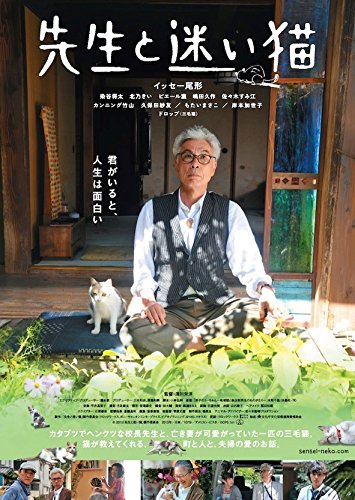 [New] Teacher and lost cat luxurious version [Blu-ray]