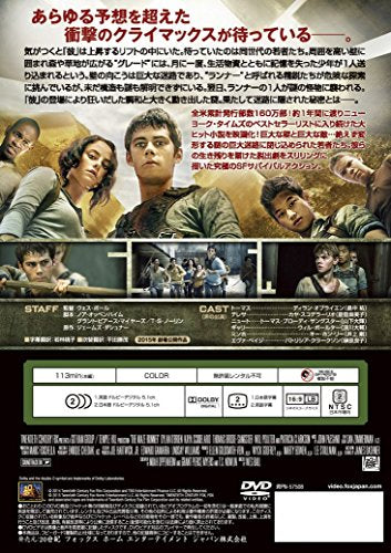 [New] Maze Runner [DVD]